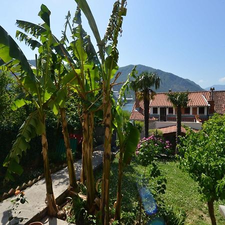 Apartments Popovic 2 Kotor Værelse billede