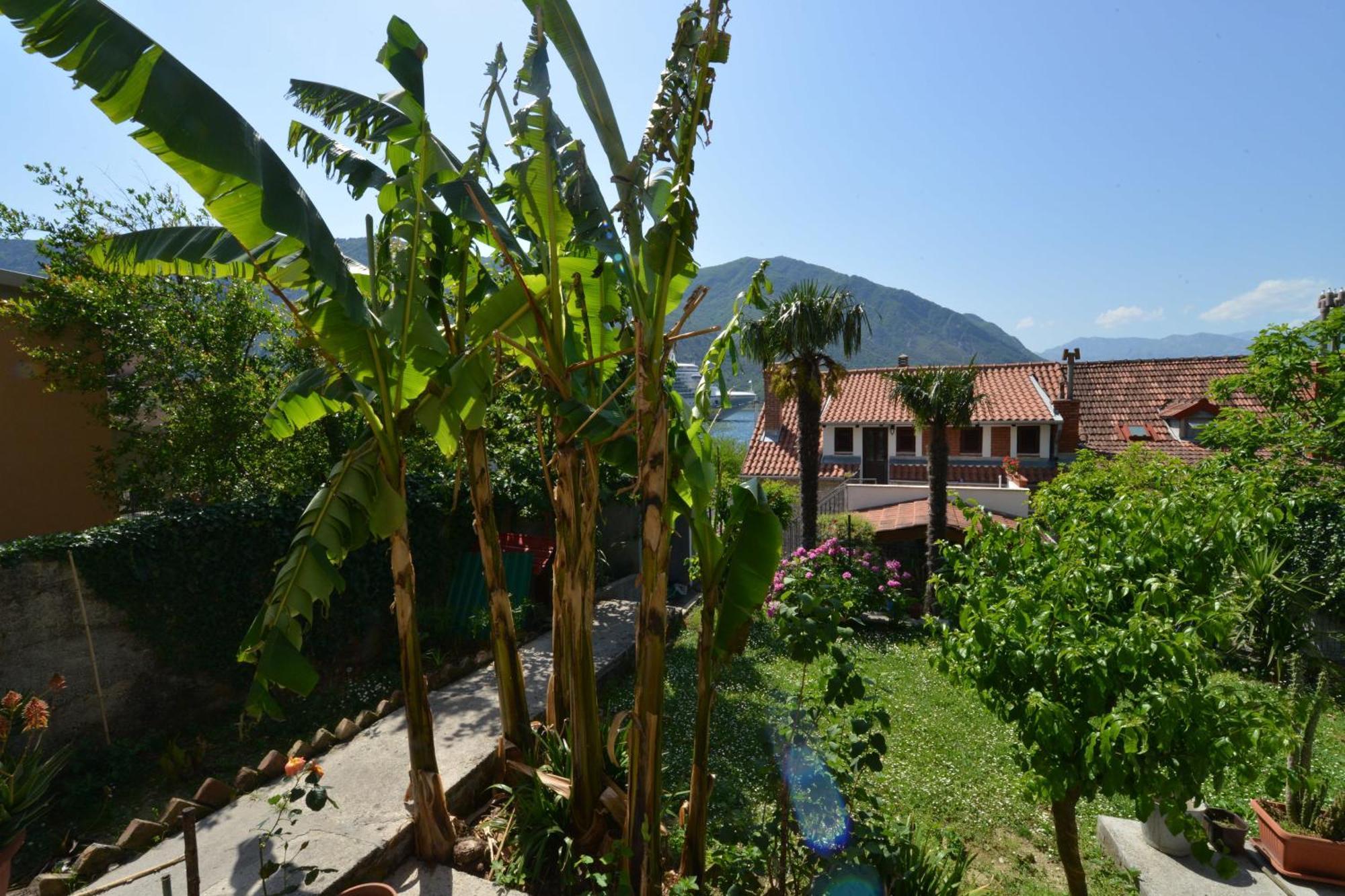 Apartments Popovic 2 Kotor Værelse billede